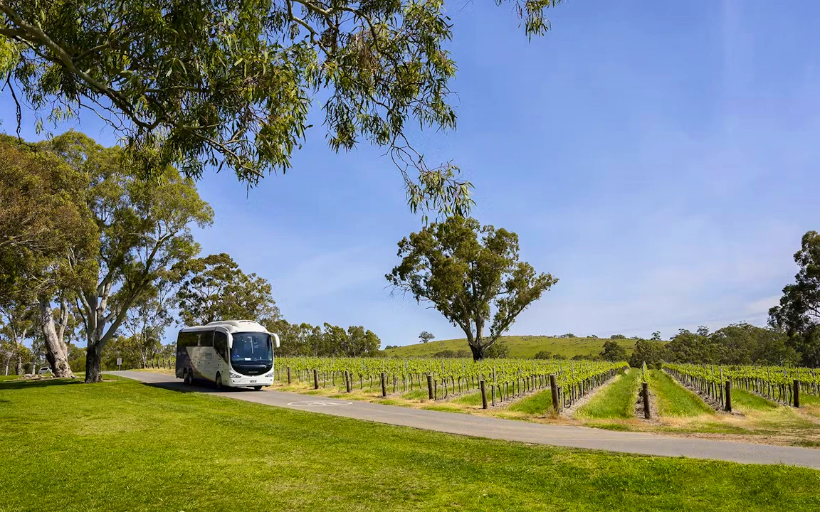 Adelaide Hills and Hahndorf Tour